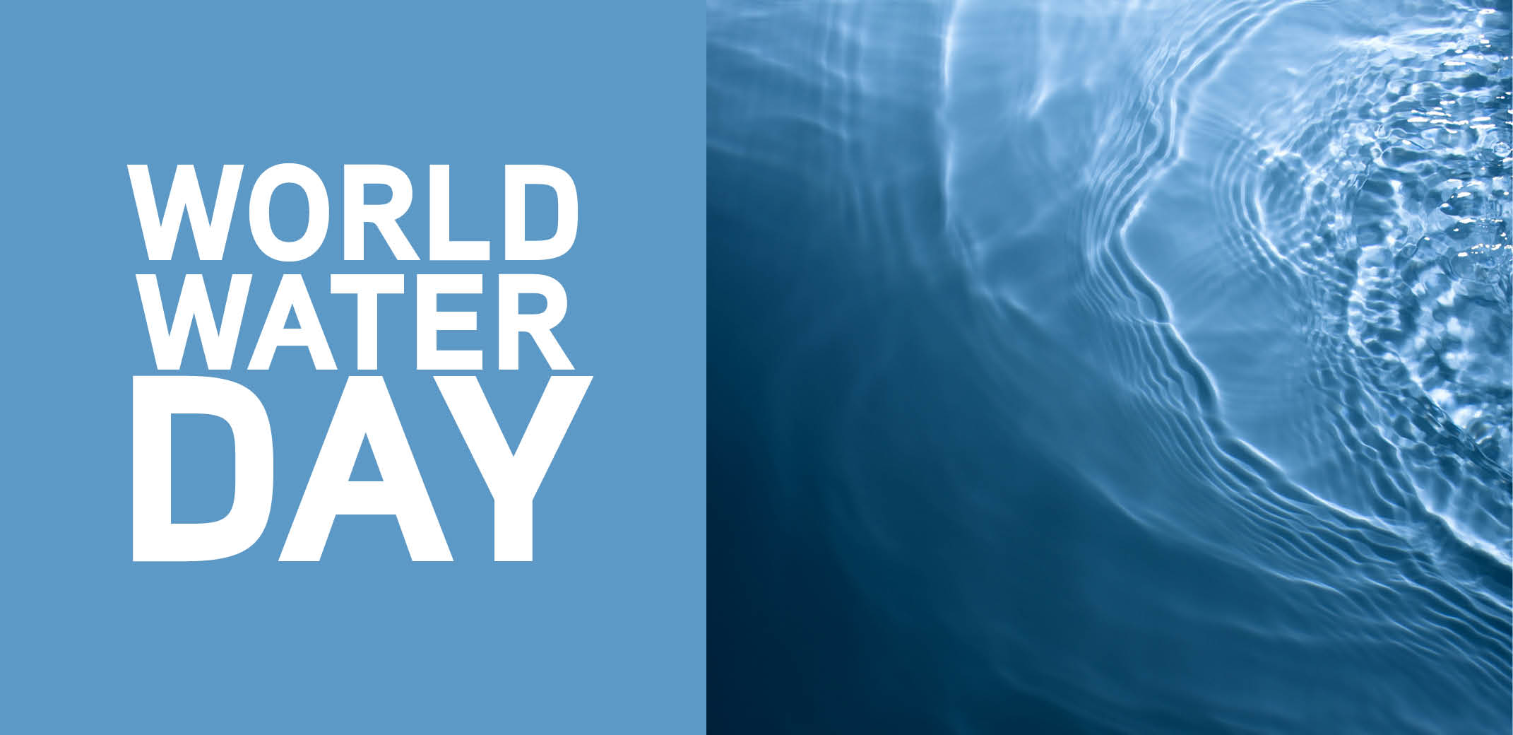 水与文字：世界水日