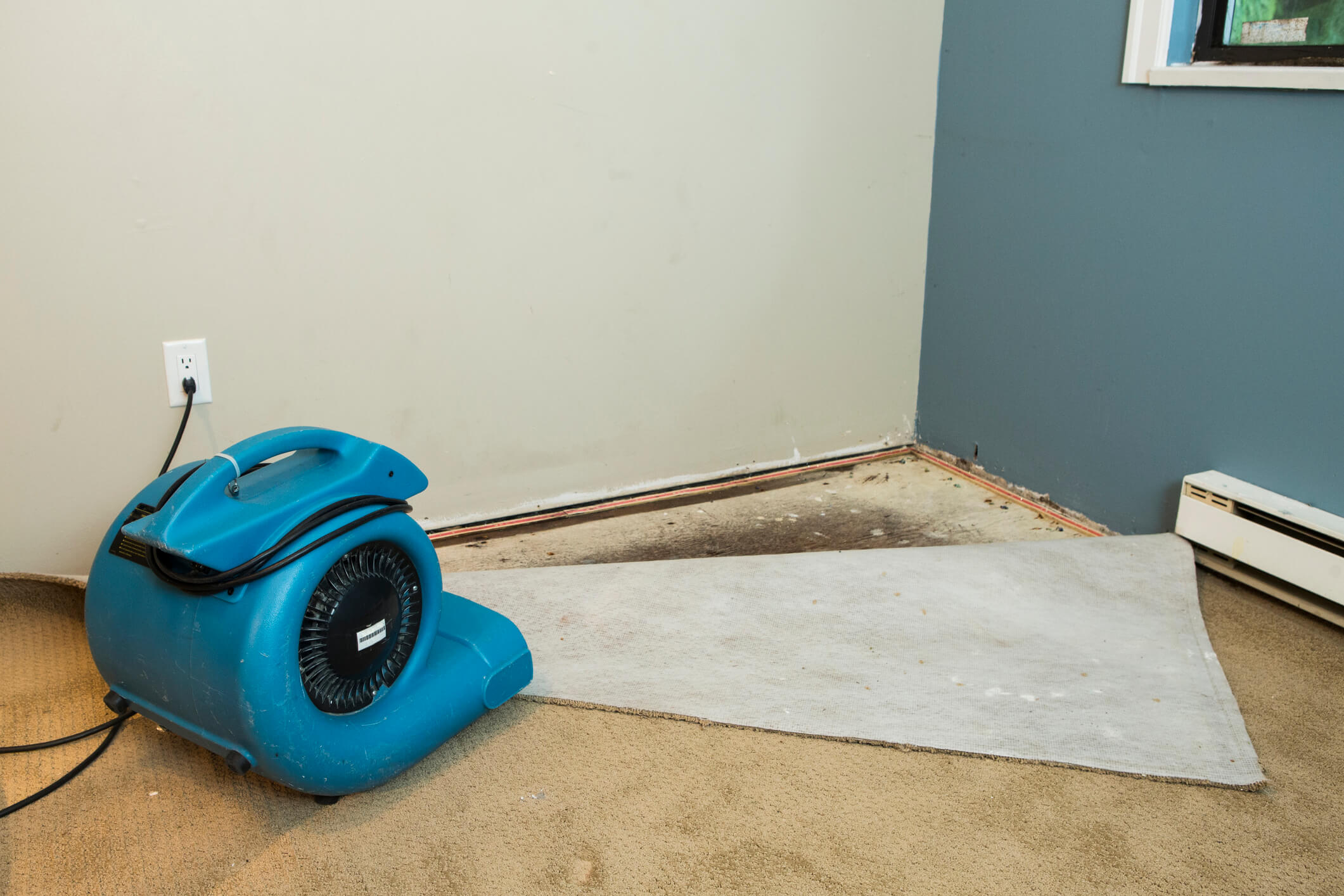 蓝色地毯烘干机插入房屋角落的墙壁