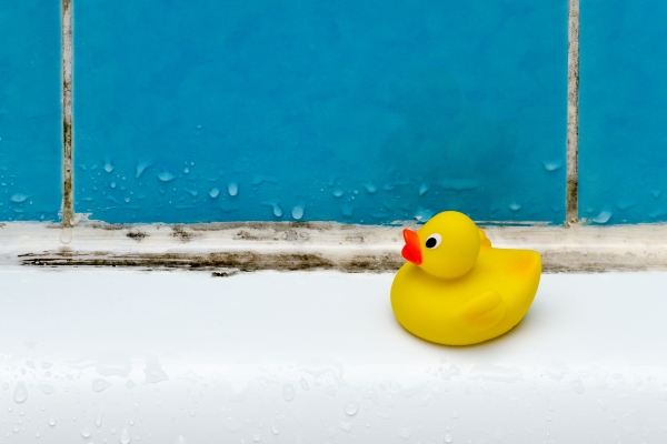 黄色玩具橡皮鸭坐在浴缸上，带霉菌瓷砖在背景